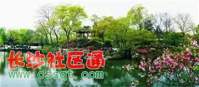 Їݵ7Сǣ҂(g)ط^